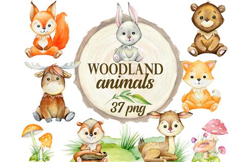 Woodland Animals Clipart Watercolor Forest Animals Nursery Decoratio
