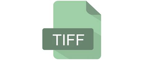 What Is Tiff File Format How To Open Tiff Files