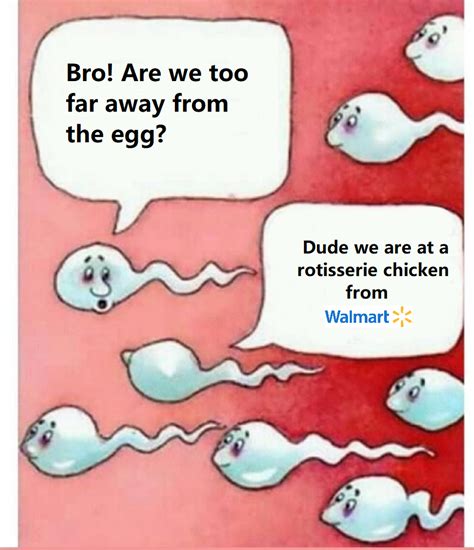 Dude We Are At A Rotisserie Chicken From Walmart Two Sperm Cells Talking Know Your Meme