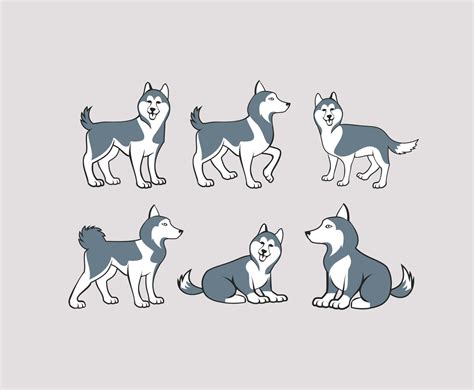 Husky Illustration Vector Vector Art And Graphics