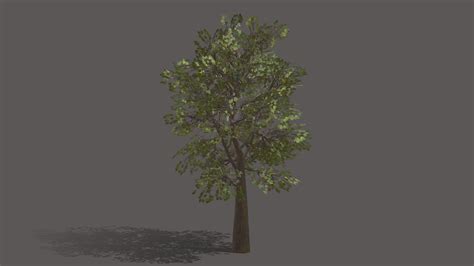 Game Ready Tree Buy Royalty Free 3d Model By H U N T E R 7 Hunter7 2caa3f8 Sketchfab Store