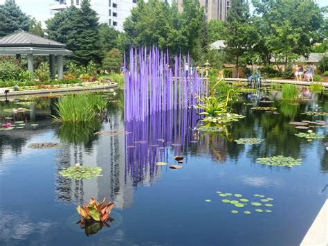 Artistic Journeys Chihuly Exhibit At The Denver Botanic Gardens