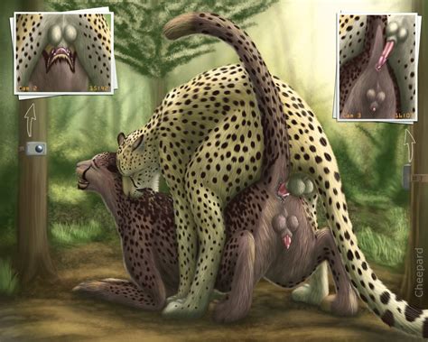 Rule 34 2015 Anal Anal Sex Anus Ass Balls Camera Cheepard Cheetah