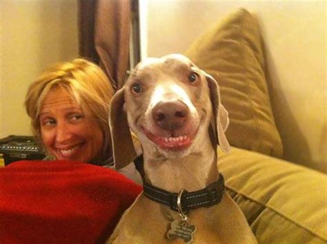 15 Horribly Non Photogenic Animals That Will Make You Laugh Way Harder Than You Should Bored