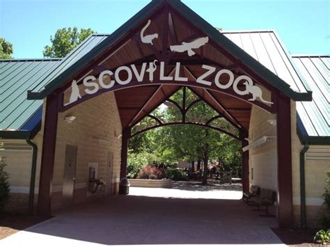 Scovill Zoo Holding Evening Hours For Twilight Tuesday June 27