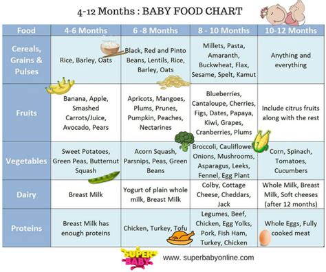 These first baby foods are healthy and easy to serve, plus two baby foods to avoid. Indian Baby Food Chart : 4 to 12 months (with 45 recipes ...
