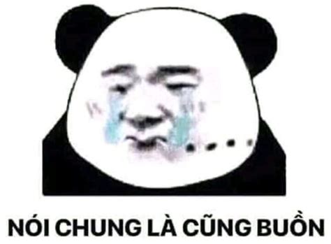Meme Nghĩa Là Gì Tổng Hợp Các Meme Nổi Tiếng Nhất Việt Nam