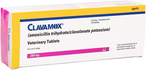 Clavamox Amoxicillin Clavulanate Potassium Chewable Tablets For