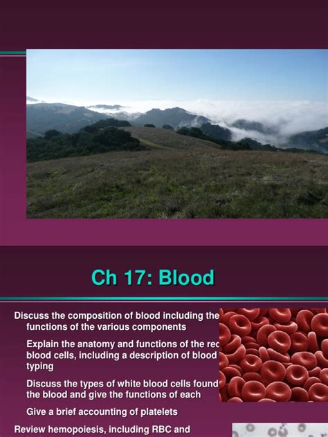 Chapter17 Blood Marieb Pdf Granulocyte White Blood Cell