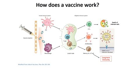 Oireachtas Friends Of Science Host Talk On Covid 19 Vaccines 2 Dec