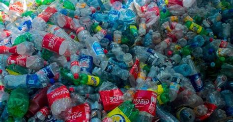 Mutant Enzyme Could Break Down Plastic Bottles For Recycling In Hours