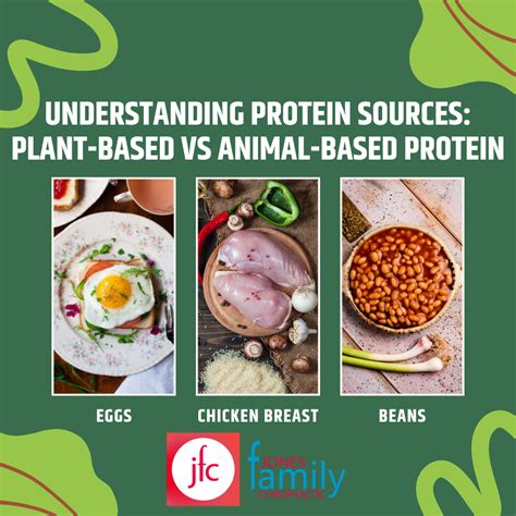 Understanding Protein Sources Plant Based Vs Animal Based Protein Dr