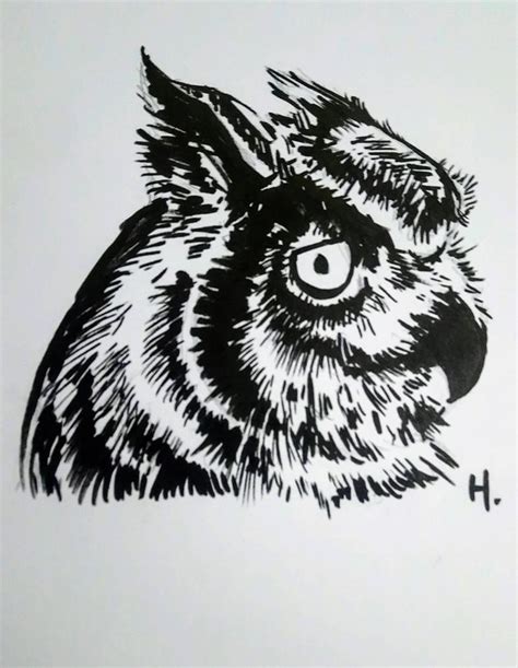 Great Horned Owl Sketch By Elianor Hesperus On Deviantart