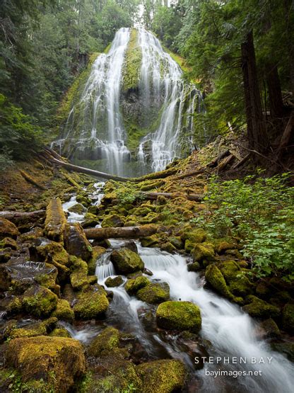 Photo Lower Proxy Falls Willamette National Forest Oregon