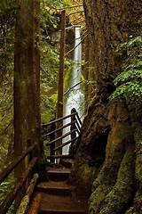 One Day In Olympic National Park