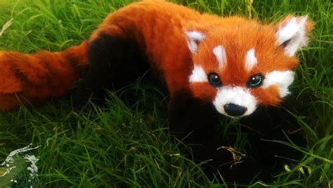 Red Panda By Kaypeacreations On Deviantart Fox Squirrel Red Panda
