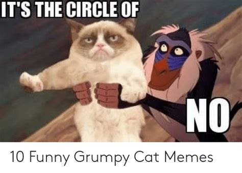 10 Grumpy Cat Memes Really Funny Factory Memes