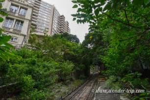La Jungle De Hong Kong Depuis Le Pic Victoria à Pied