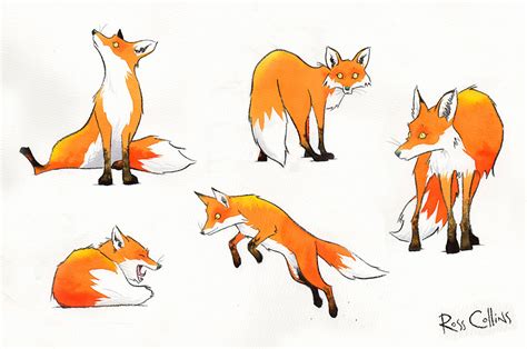 Fox Character Fox Character Design Character Illustration