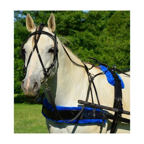 Buy Biothane Horse Harness For Sale From Two Horse Tack