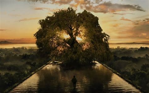 The fountain of youth trope as used in popular culture. The Fountain - Darren Aronofsky | The fountain movie, Why ...