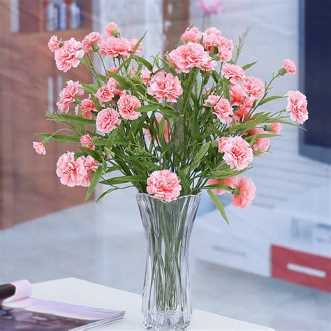 Cách Cắm Hoa Cẩm Chướng đẹp đơn Giản Tại Nhà Ai Nhìn Cũng Thích
