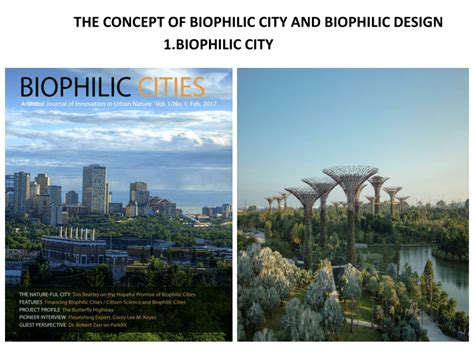 Pdf The Concept Of Biophilic City And Biophilic Design 1biophilic City