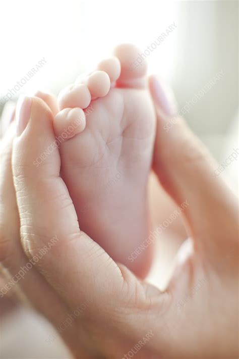 Babys Foot Stock Image F0039275 Science Photo Library