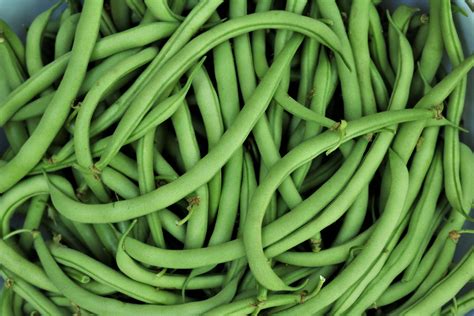 Fresh Green Beans Full Frame Free Stock Photo Public Domain Pictures