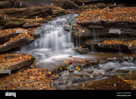 Autumn Leaves Cover Rocks Surrounding A Waterfall In Ricketts Glen