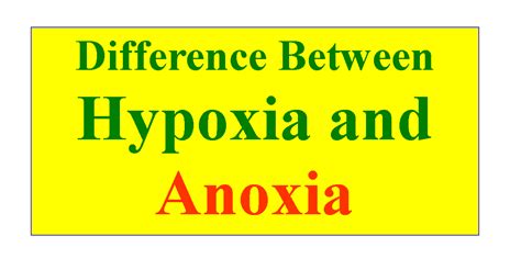 Difference Between Hypoxia And Anoxia