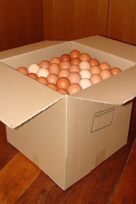 Box Of Eggs Toms Paddock
