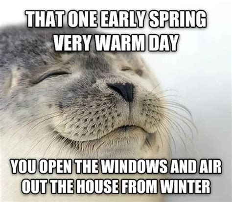 27 Funny Memes About Spring Barnorama