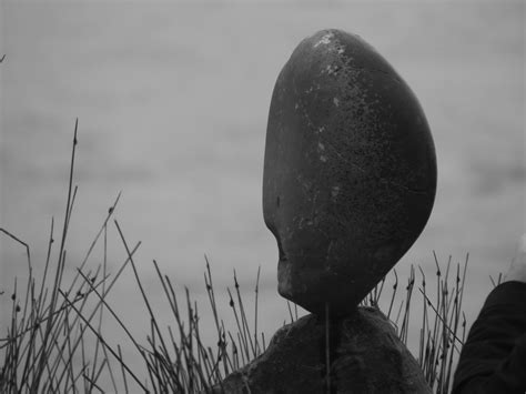 "Natural goodwill" : r/RimWorld