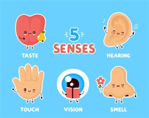 30 Inspiring Five Senses Activities For Children An Everyday Story