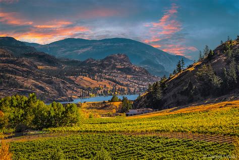 Fine Art Scenic Of Mountain Vineyards Okanagan Valley Of British