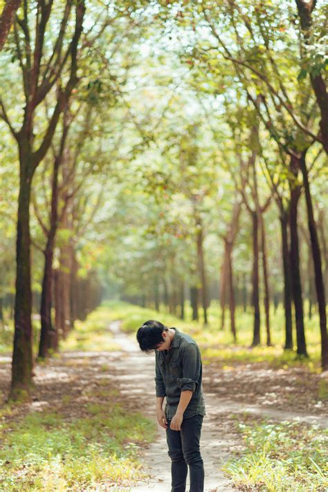 Photo Of Person Standing In Between Trees · Free Stock Photo