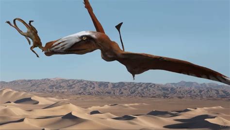 New Species Of Pterosaur Discovered In Utah Desert Web Top News