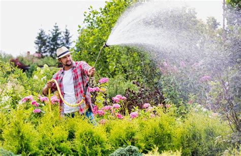 Proper Summer Watering Habits Watering Golden Rules Part 1 Five Star
