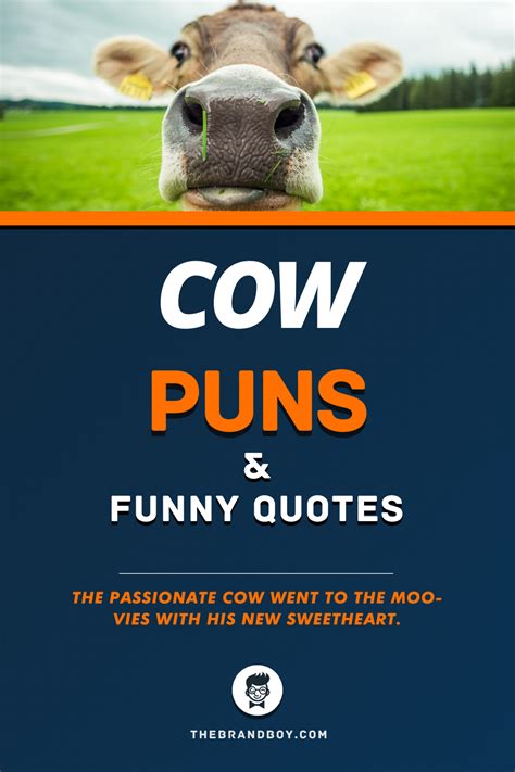 56 Best Cow Puns And Quotes Cow Puns Puns Funny Puns