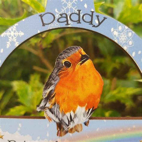 Robins Appear When Loved Ones Are Near Hanging Plaque Memorial Etsy Uk