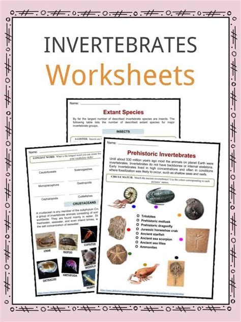 This chapter will explore how different invertebrates, organisms without a backbone, are classified into different categories. Invertebrate Facts, Worksheets, Types & Specie Information For Kids