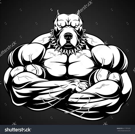 Vector Illustration Of A Strong Pitbull With Big Biceps Bodybuilder