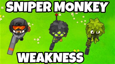 What Are The Weaknesses Of The Sniper Monkey Bloons Td 6 Youtube