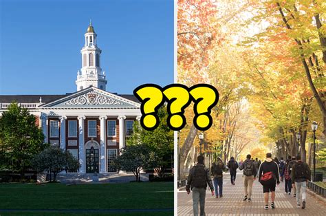 If You Went To An Ivy League School Tell Us Something People Would Be
