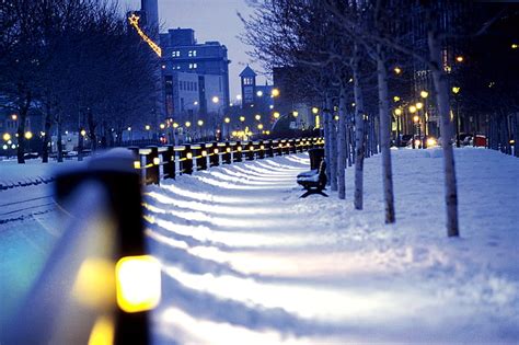 Green Leafed Trees Montreal Snow Lights Winter City Canada Night