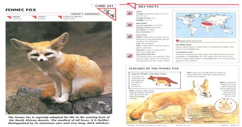 Wildlife Fact File Mammals Pgs 221 230