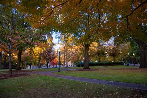 111519 Linn Park In The Fall Picture Birmingham