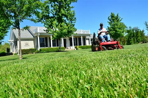 Free Images Farm Meadow Home Green Crop Backyard Agriculture