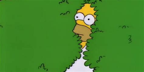 Watch The Simpsons Uses The Homer Bush Meme 